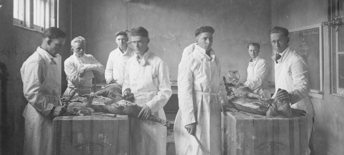 Butchering Class in Agricultural Hall