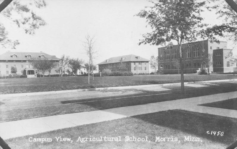 The Campus Mall and the street